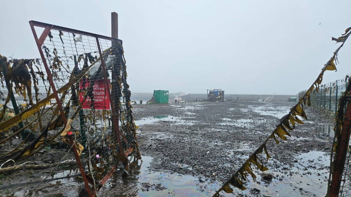 tsunami fukushima