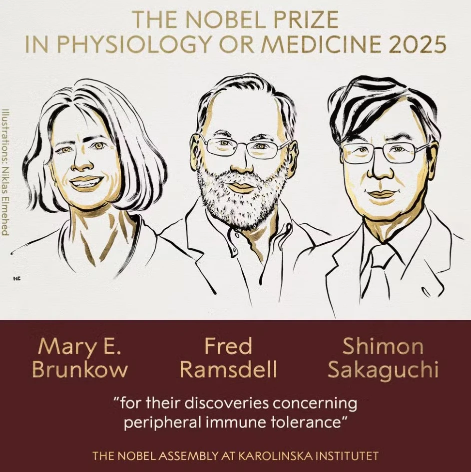 Prêmio Nobel da Medicina 2025 - vencedores