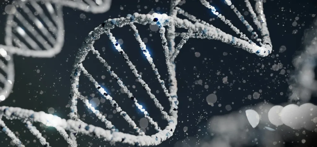 genética - DNA