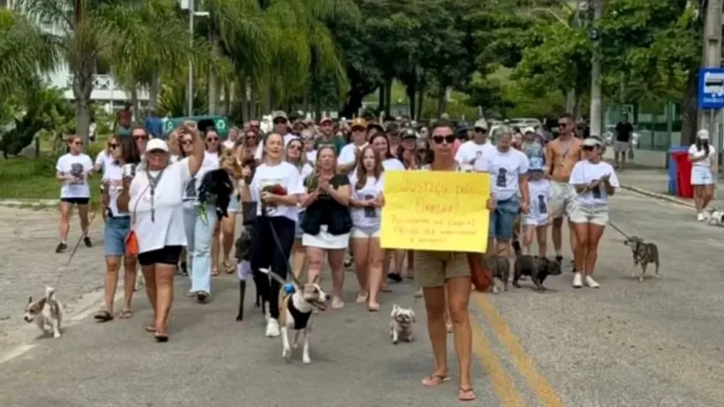 protesto - Orelha