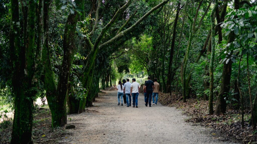 Espírito Santo do Pinhal