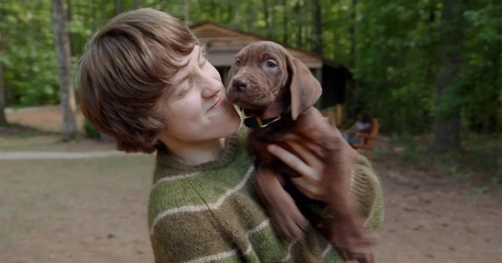 Scooby-Doo A Origem