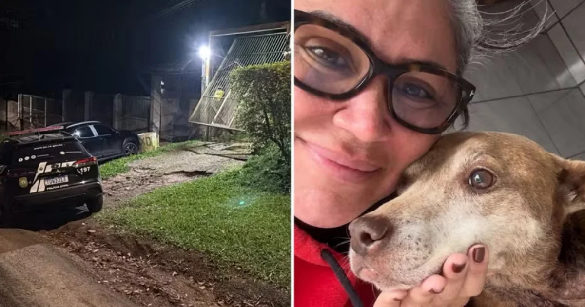 secretária matança animais eutanásia de animais